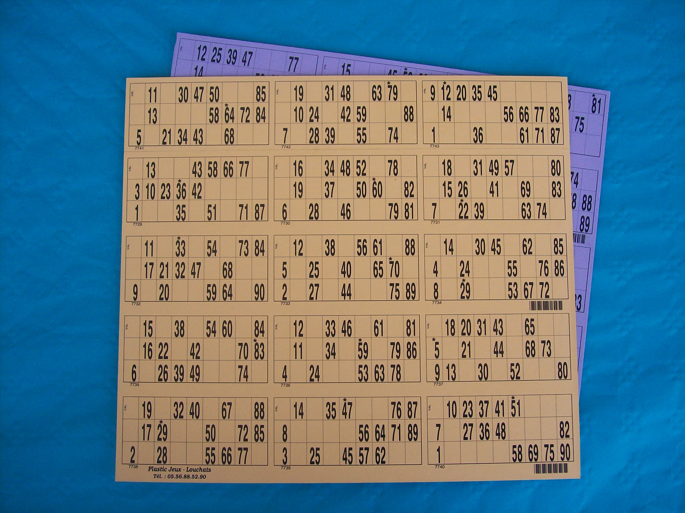 Plaque de 15 cartons de loto - Lot de 4 plaques - Plastic Jeux